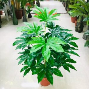 MAPEL LEAF