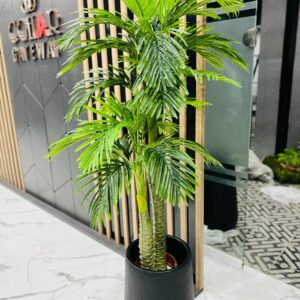Palm Tree 5ft