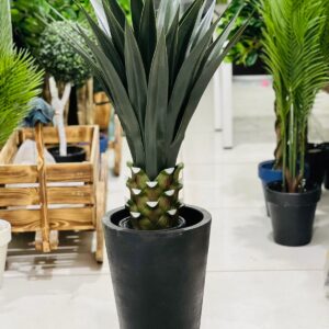 Exclusive Yucca with Fiber Planter