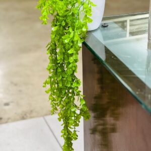 Hanging Wines with White Pot